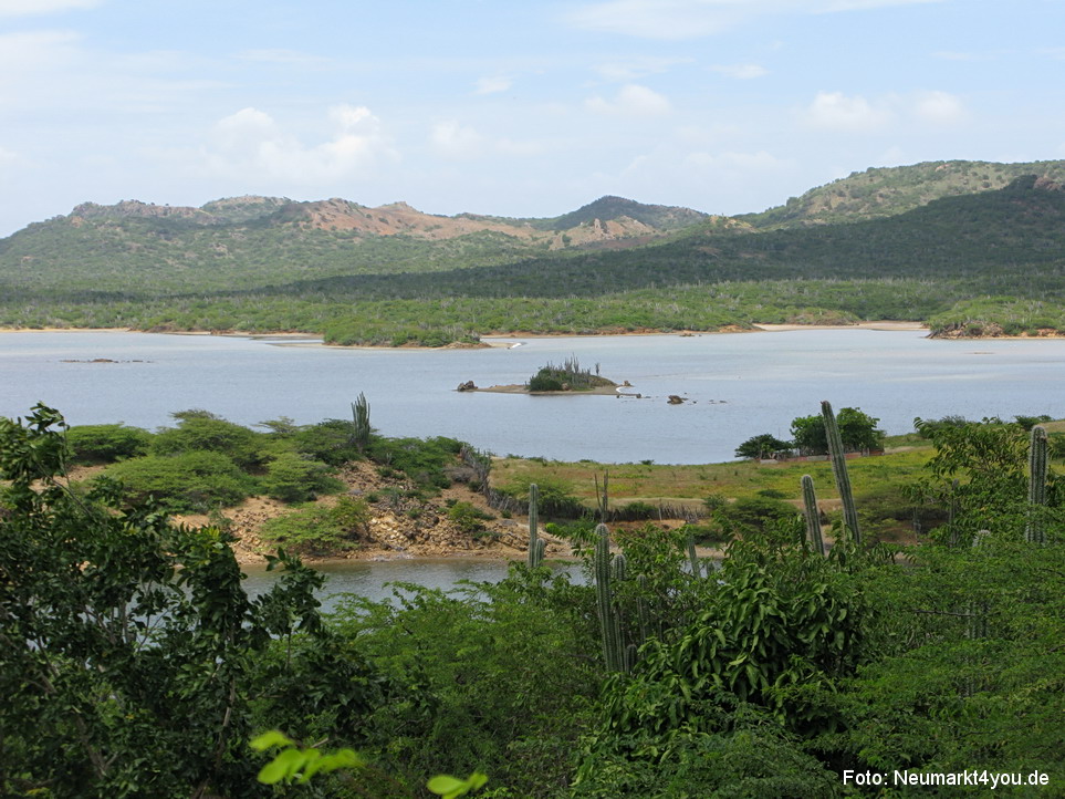 0040 Insel Bonaire 2009